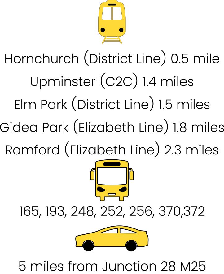 trainsandbuses2