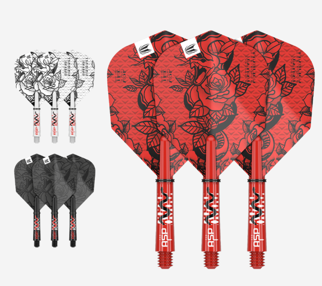 target nathan aspinall ink flight & shaft kit target nathan aspinall ink flight & shaft kit